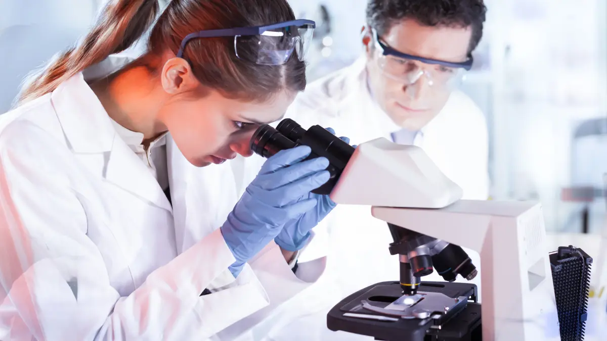 Acufene e microcircolo: il ruolo dei fattori vascolari